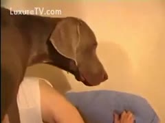 A bored girl enjoyed playing with a 10-pound dog.